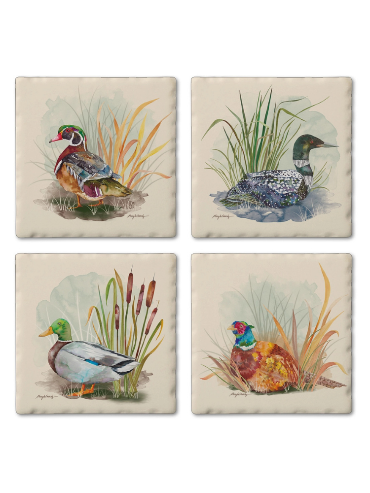 Stone Coaster Set Of 4 Collection