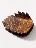 Pinecone Claw