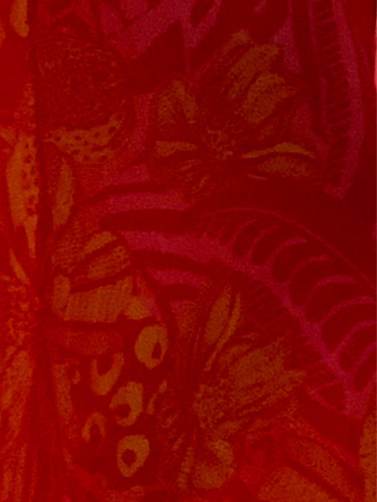 Giovanna Kaftan