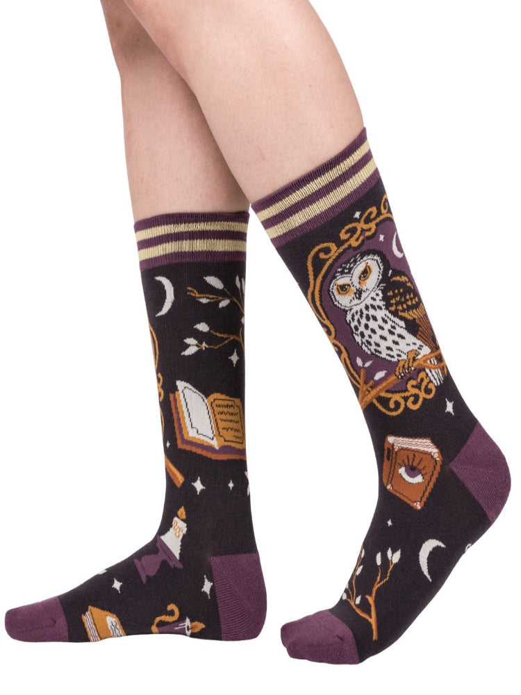 Supervisor Owlfred Socks