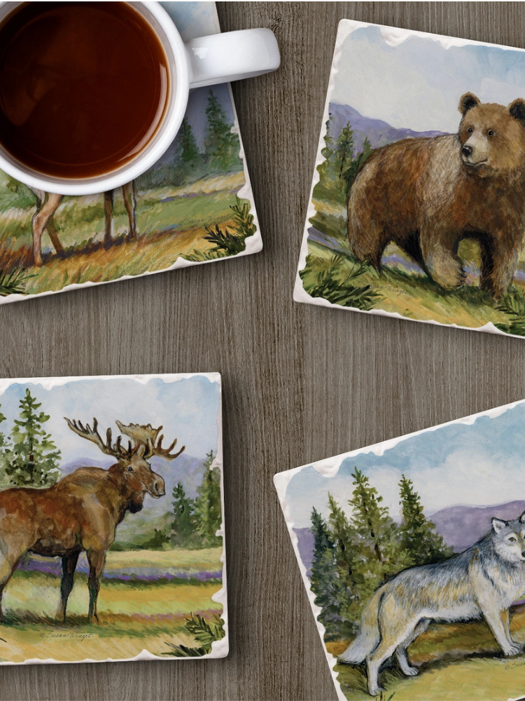 Stone Coaster Set Of 4 Collection