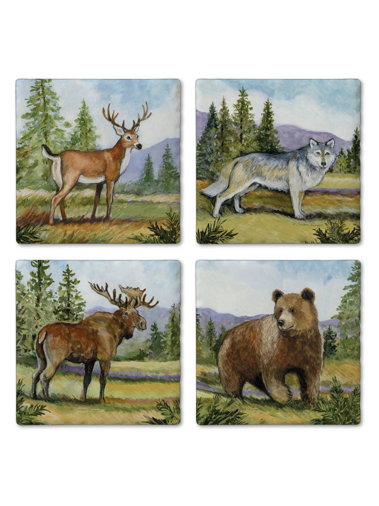 Stone Coaster Set Of 4 Collection