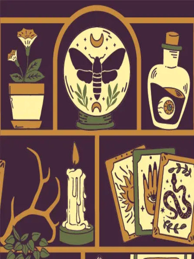 Cabinet of Curiosities Sock