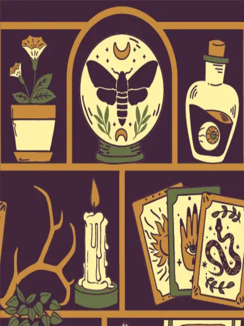 Cabinet of Curiosities Sock