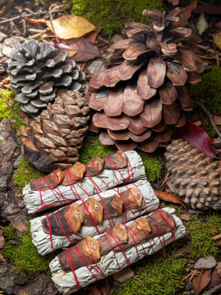 Sage Bundle